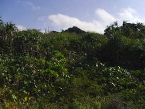 Frog Rock