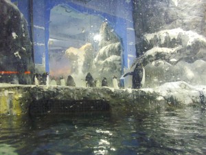 Penguin Tank