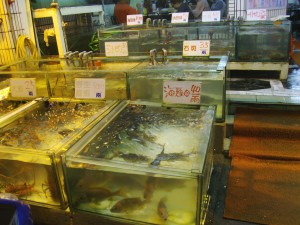 Fish: Before