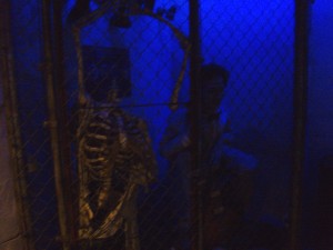 Weirdest Decorations... Ever. 2