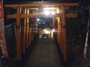 Torii Gates