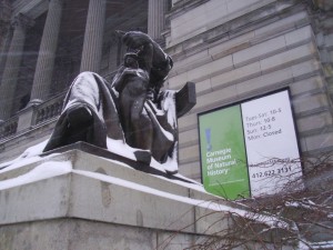 Carnegie Museum of Natural History