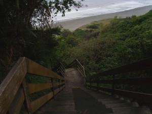 Jinzun Steps