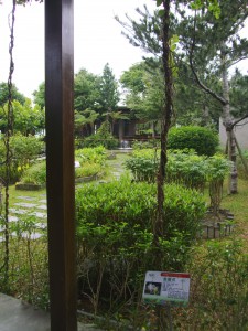 (Edible) Herb Garden
