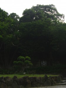 Yuanshan
