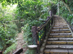 Beaten Path