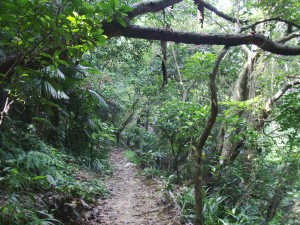 Off the beaten path.