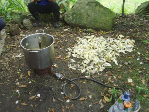 Sacrificed Bamboo Shoots