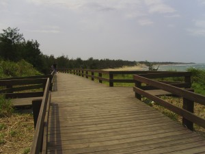 Boardwalk/Bike Trail