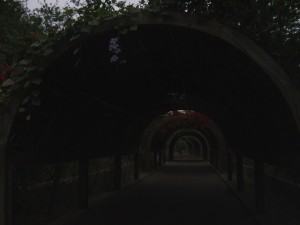 Bike Trails