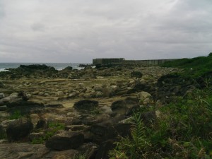 Xiaoyeliu