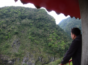 View from the top